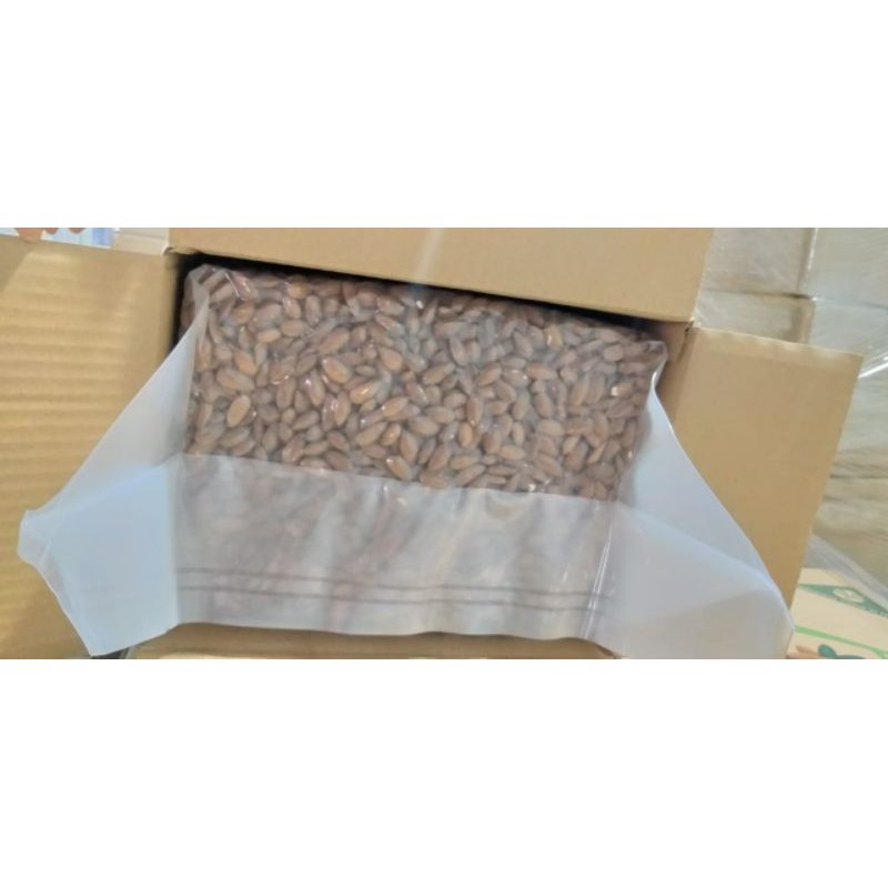 Kacang almond kupas 22,6 Kg