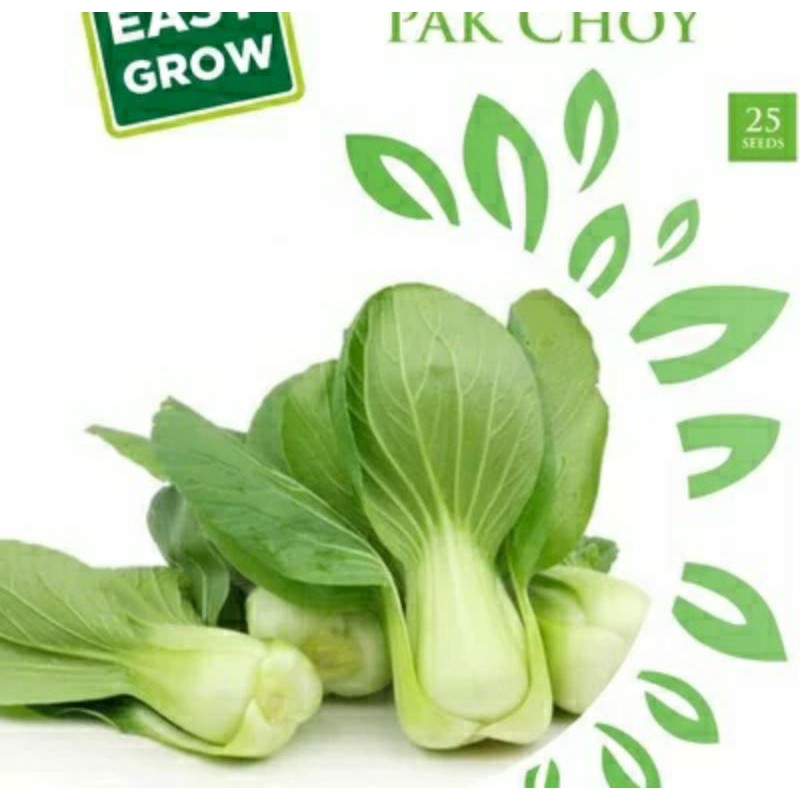 

Biji Sayuran Pak Choy 1 pack 25 seeds