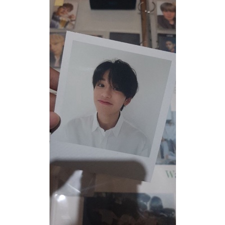lucas polaroid pb holiday