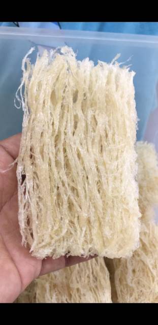 

Raw birdnest/sarang burung walet mentah 100gram berbentuk lempeng