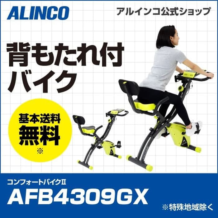 Alinco AFB4309GX Sepeda Statis JKT Free Ongkir Resistance Band Bike