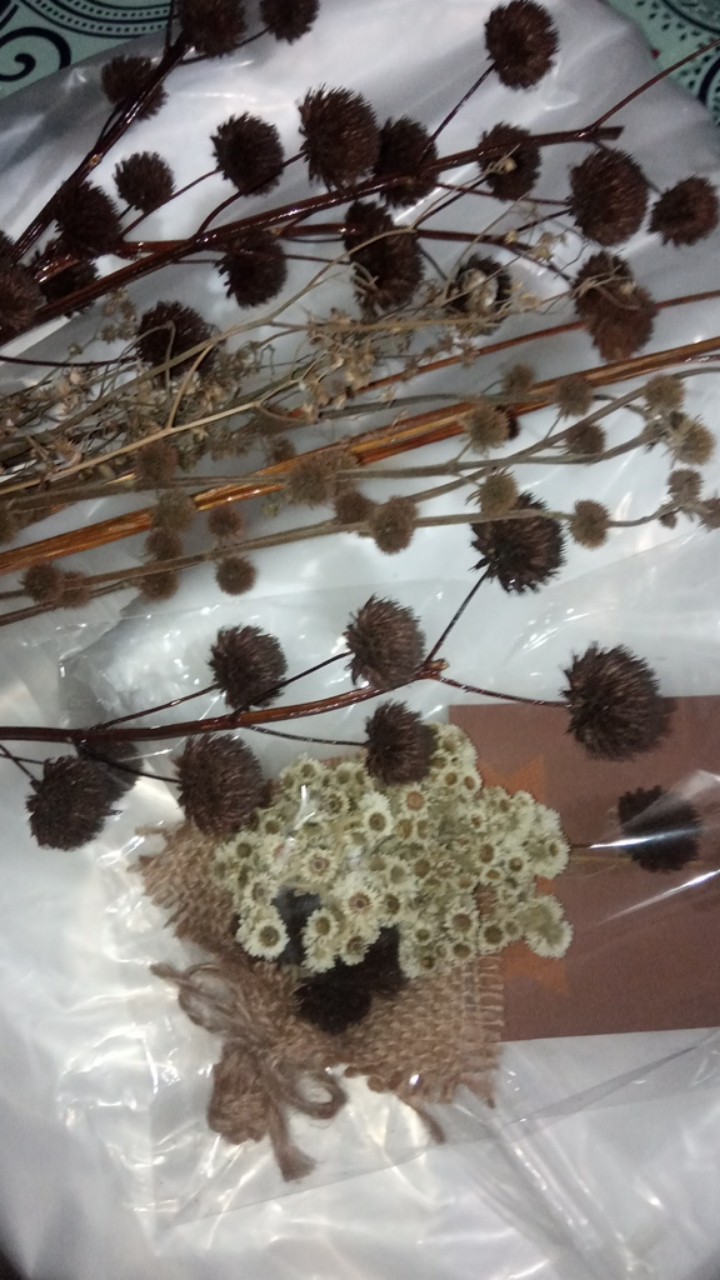 Aneka Bunga Kering/ Dried Flower/ Bunga Kering