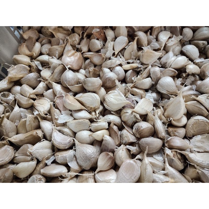 

Bawang Putih Cutting