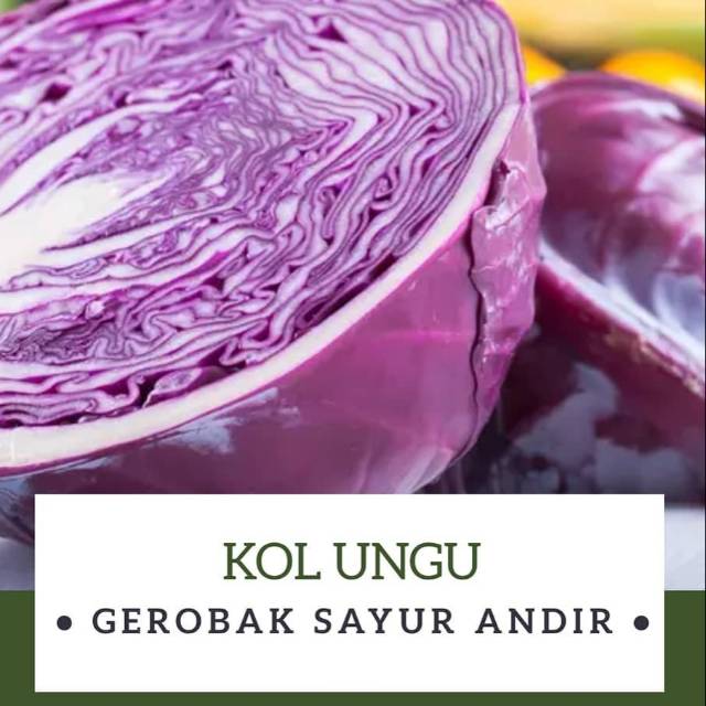 

Kol Ungu /500gr