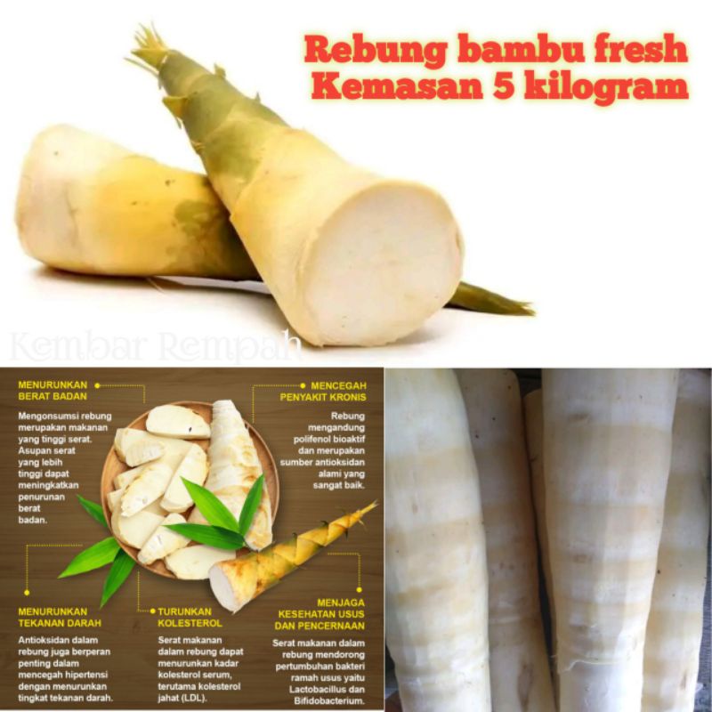 

Rebung bambu fresh organik 5 kg