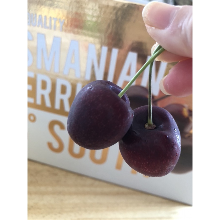 Tasmanian Cherry