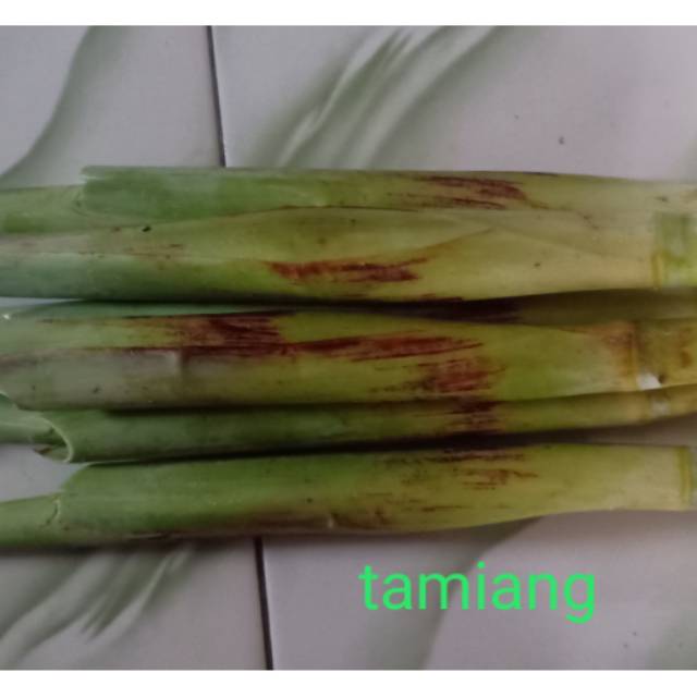 

500 gram Terubuk / turubuk / terubus