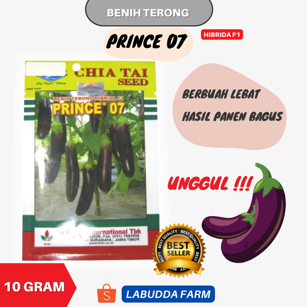 Benih Terong Prince 07 - Bibit Terong Ungu  - Benih Terong Lalap - Bibit Terong Ungu Panjang - Bibit