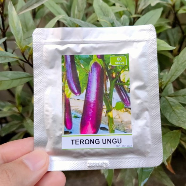 benih sayur - benih buah - benih sayuran - benih tomat - benih cabe - benih selada - benih bayam - benih terong - benih pakchoy -RS-Terong ungu