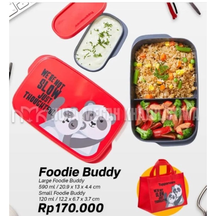 foodie buddy tupperware