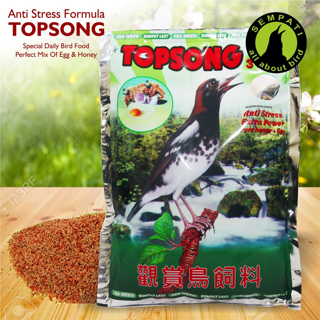 Topsong Rumput Laut 3 In 1 Plus Pakan Burung Kacer Anis Kembang