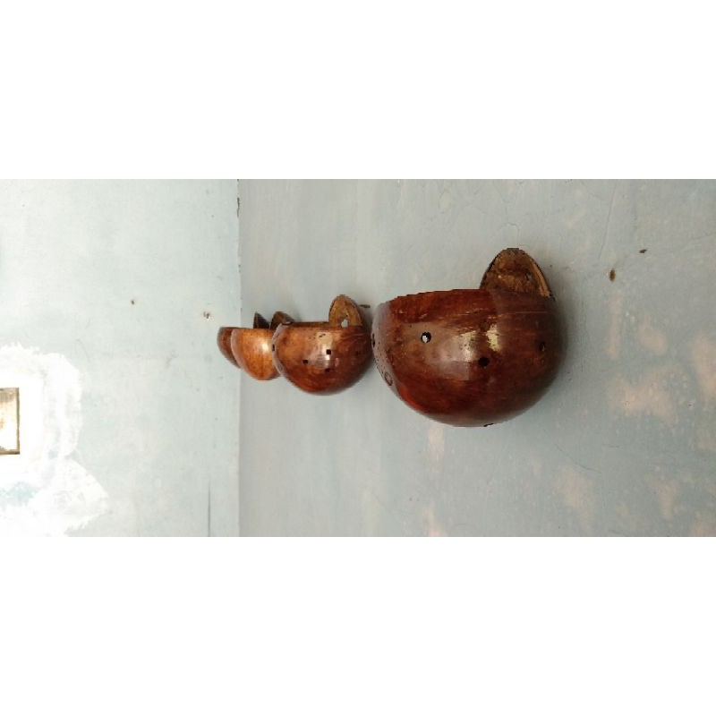 Pot Tempel Batok Kelapa