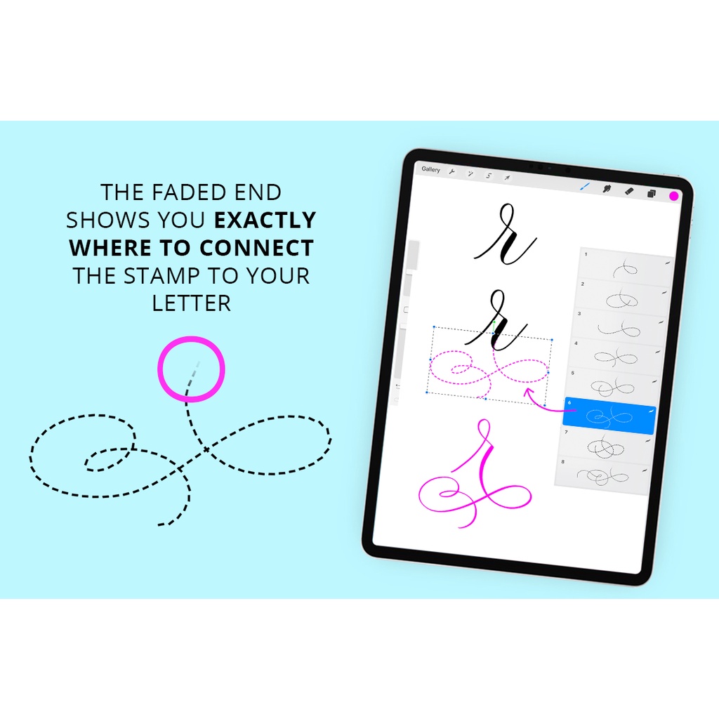 Procreate Brush - Flourish Stamps Calligraphy for Procreate