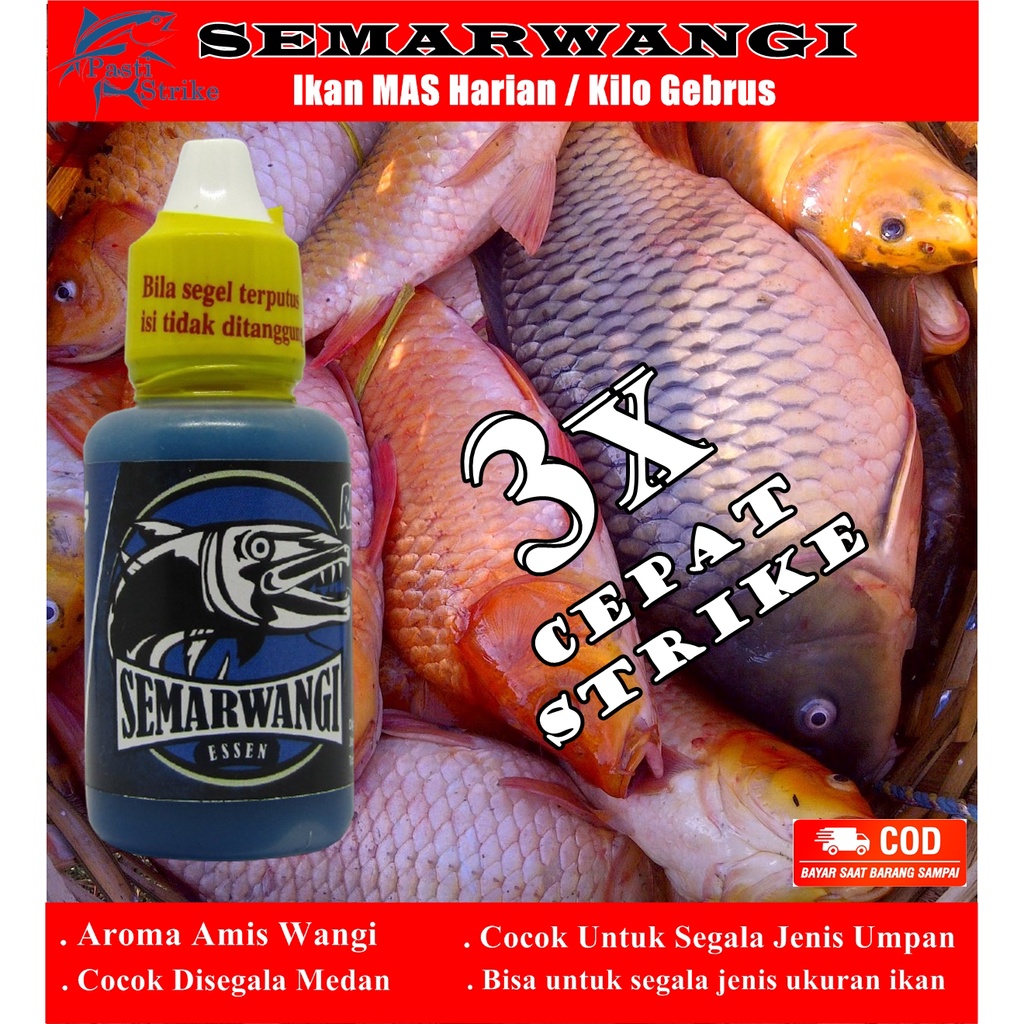 Essen Semarwangi Ikan Mas Lomba Harian / Kilo Gebrus