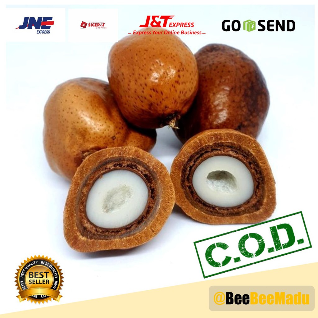 Buah Zuriat Promil Asli 1kg - Promil Suami Istri