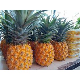 

Nanas Segar 1 Buah