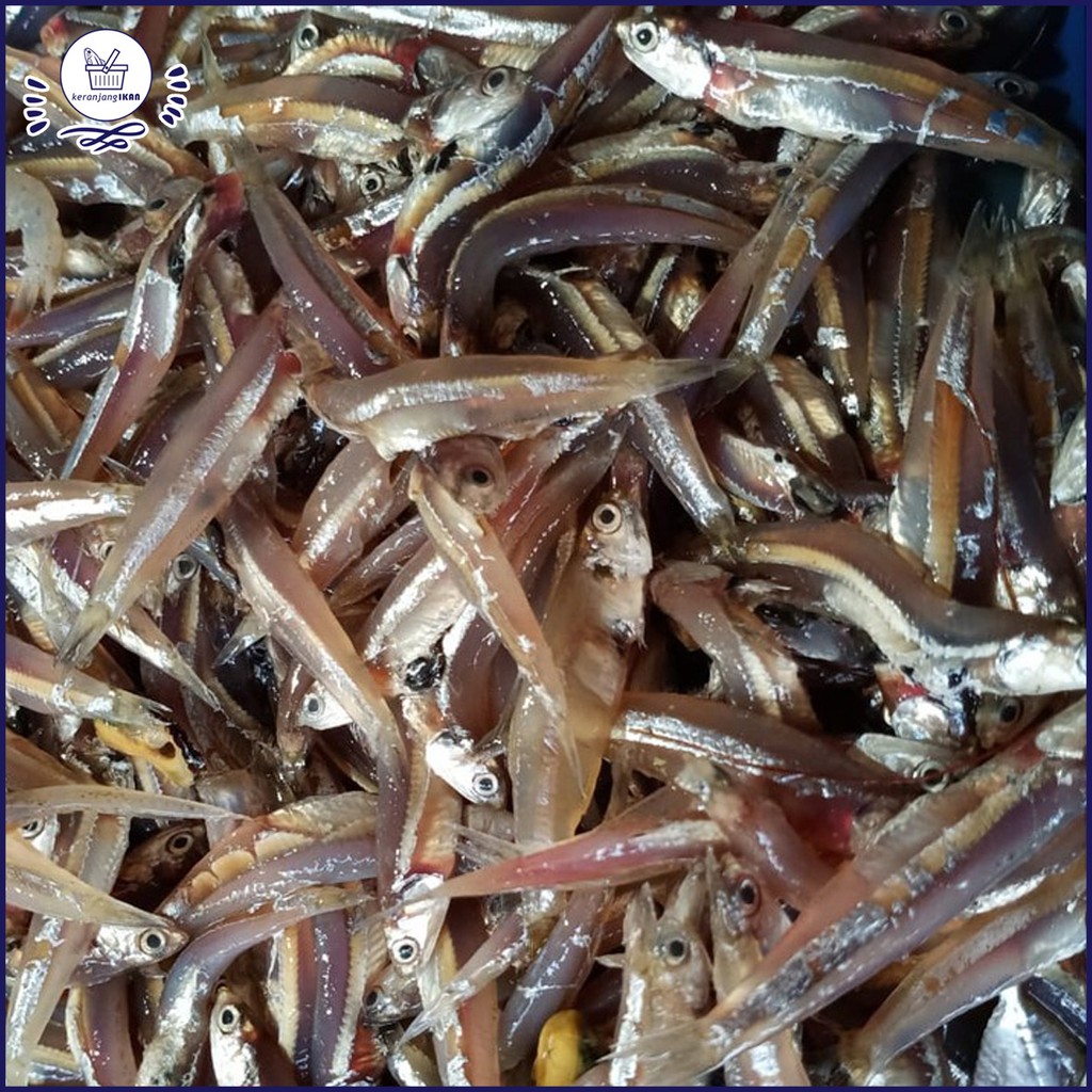 

Ikan Teri Segar Ikan Teri Basah 1kg