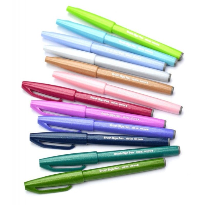 

Touch Brush Sign Pen PENTEL New Color