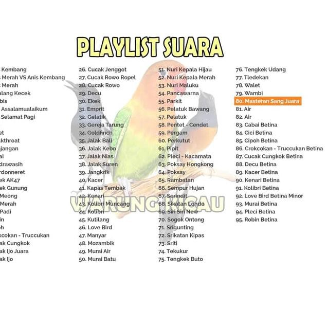 Masteran Burung Kicau Suara Burung Isian Jernih Murah Meriah Motif