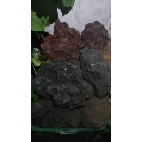 KARUNGAN BATU LAVA ROCK MERAH DAN HITAM AQUASCAPE AQUARIUM