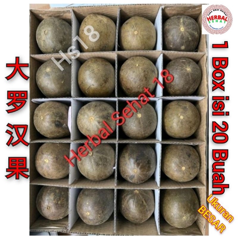 

Buah lohan kuo 1 ktk isi 20 buah UKURAN BESAR berkhasiat meredakan batuk .rehak . dan melawan virus