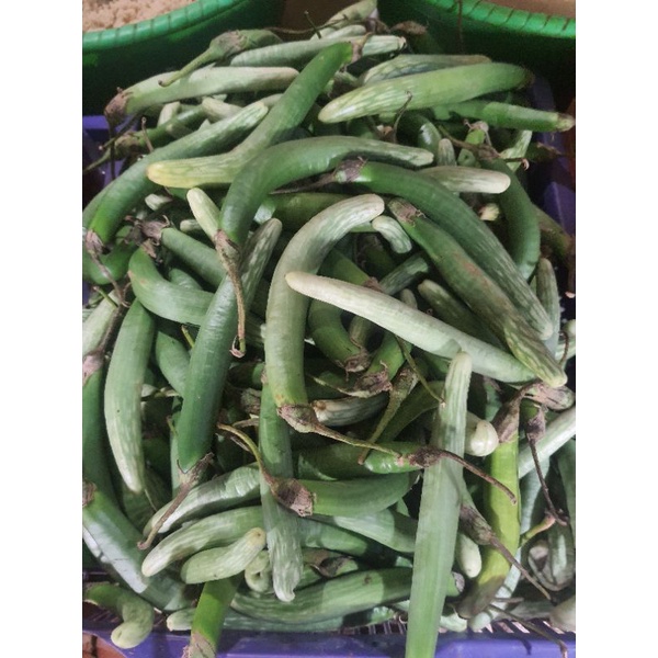 

[Bumbu SKD] Terong Medan / Telunjuk 250 Gram