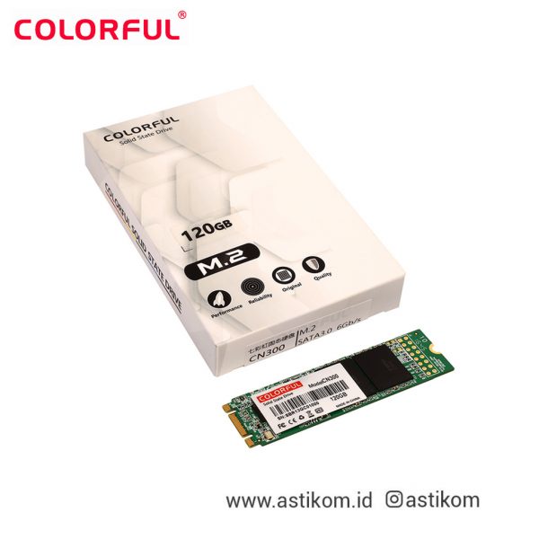 Colorful SSD M.2 2280 120GB - CN300 M2