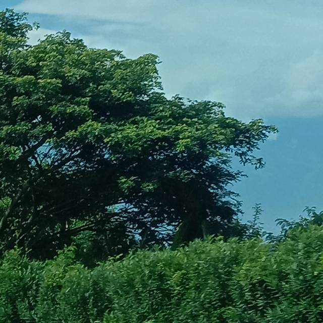 nafarahmaputrihanara