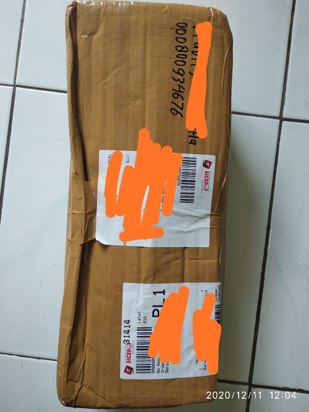 Buce Phalandra Batangan