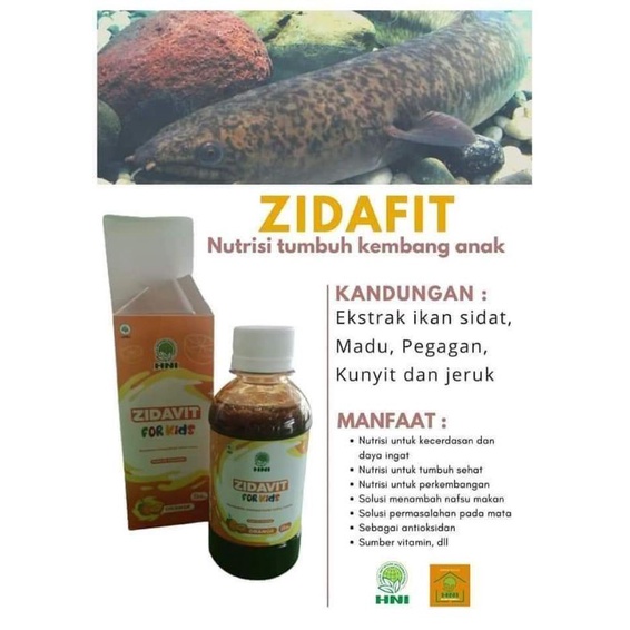 Zidafit kids HNI