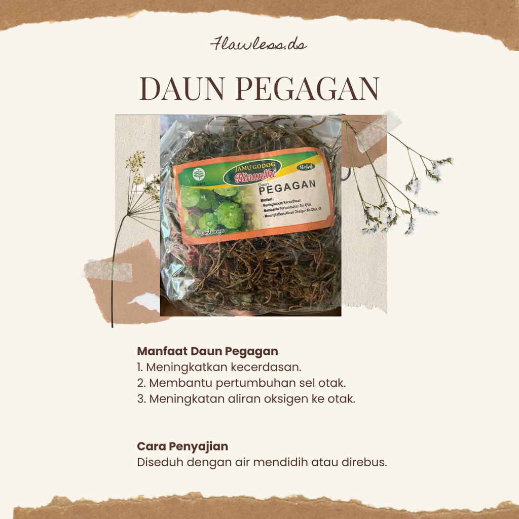 

Jamu Godhog DAUN PEGAGAN