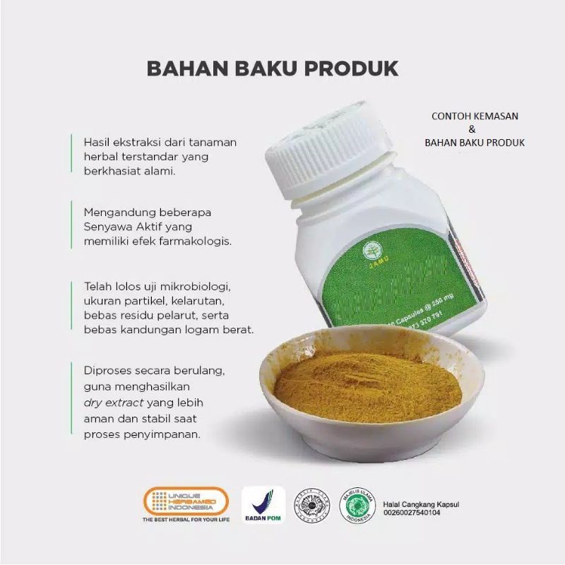 Kapsul Daun Ungu - Herbal Wasir Ambeien - Hemorhaldin