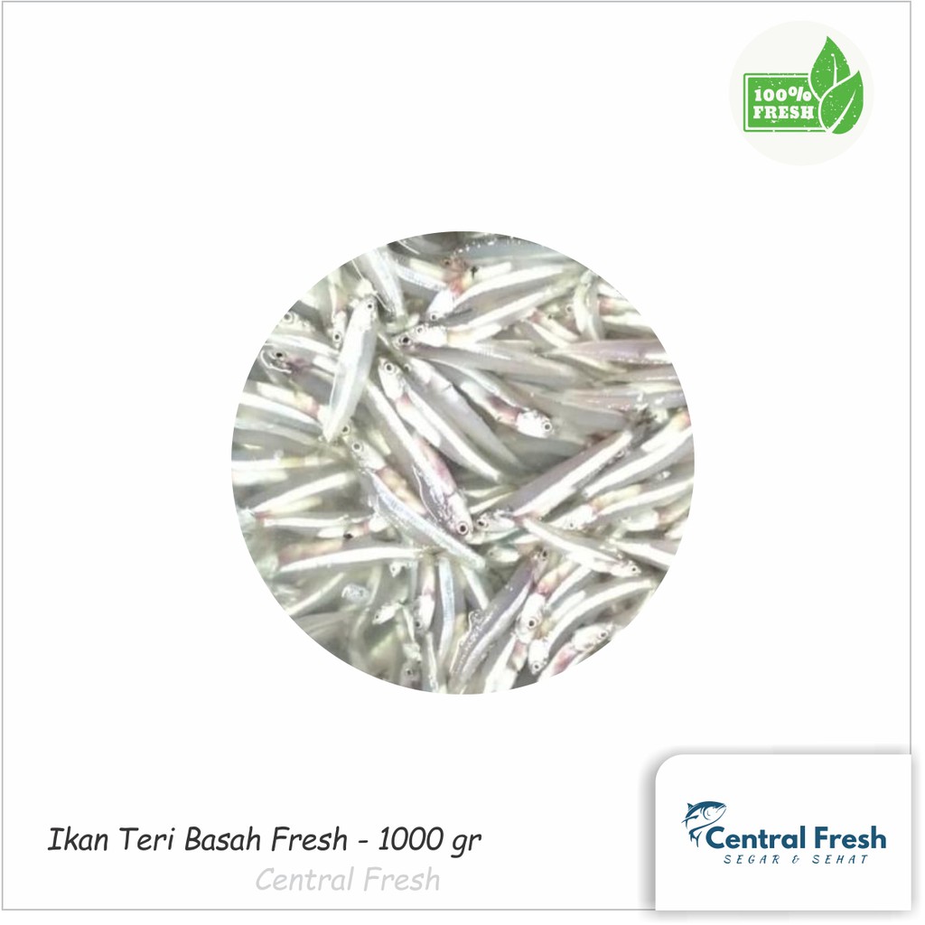 

Ikan Teri Basah Fresh - 1.000 gr