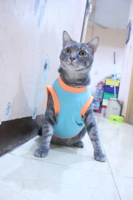 Kaos ucansee lucu untuk kucing dan anjing lucu / baju kucing murah size S-XL