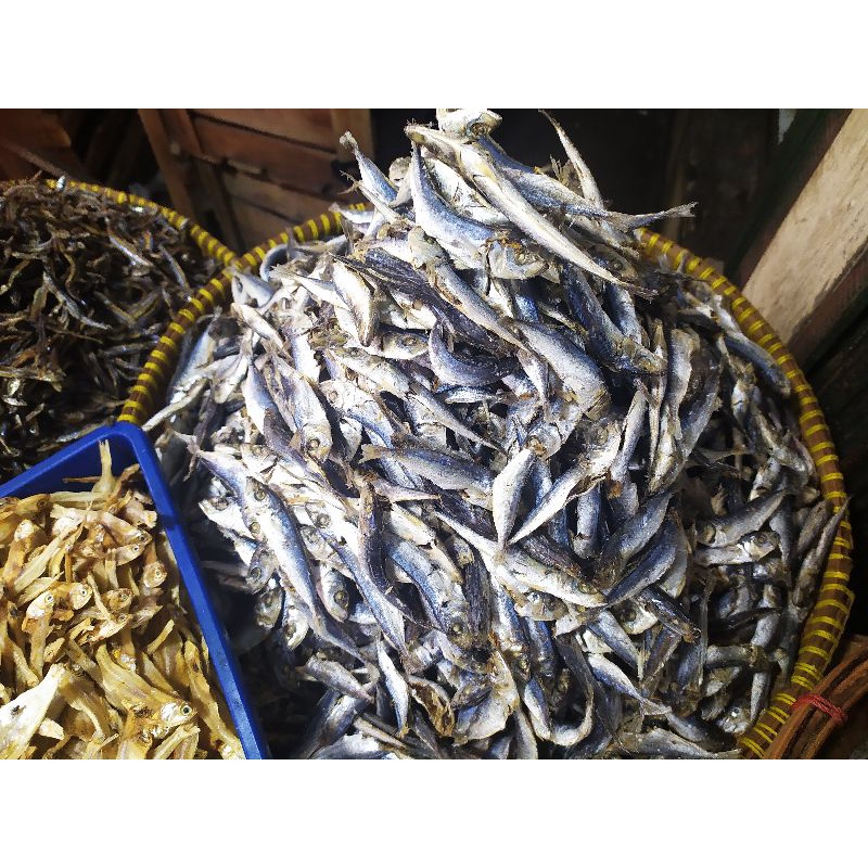 

Ikan Tamban Sarai | Gambolo Sarai (stok baru)