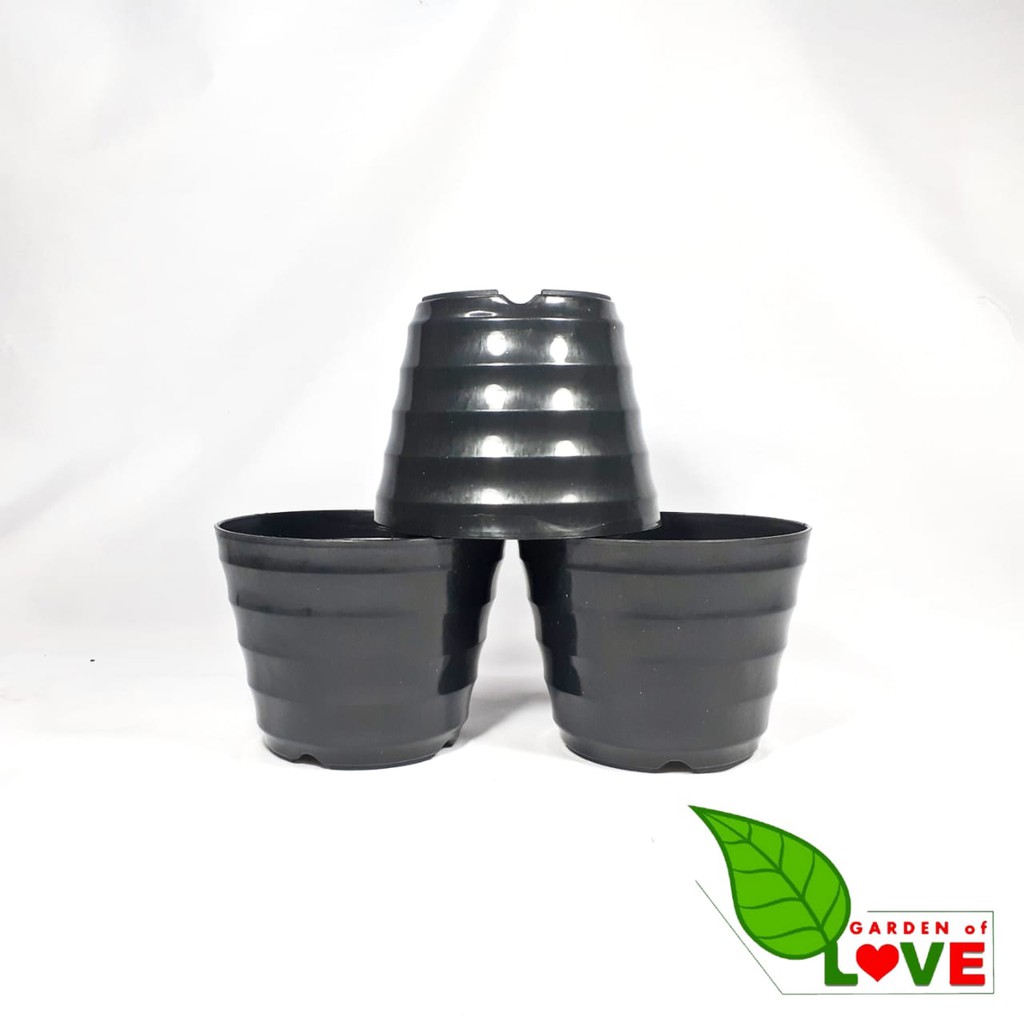 Pot Kopeng 12 Hitam Hitam By Garden Of Love Pot Plastik Mini Kaktus Murah Lucu Mirip Pot Tawon 12