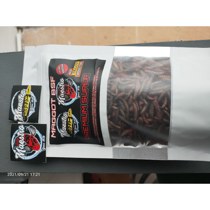 MAGGOT BSF PREMIUM SUPER MAESTRO SUPER++ booster Bunga Channa
