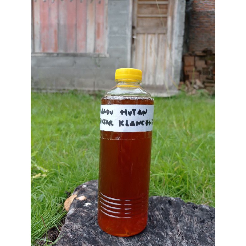 

MADU HUTAN MADU MURNI MADU KLANCENG