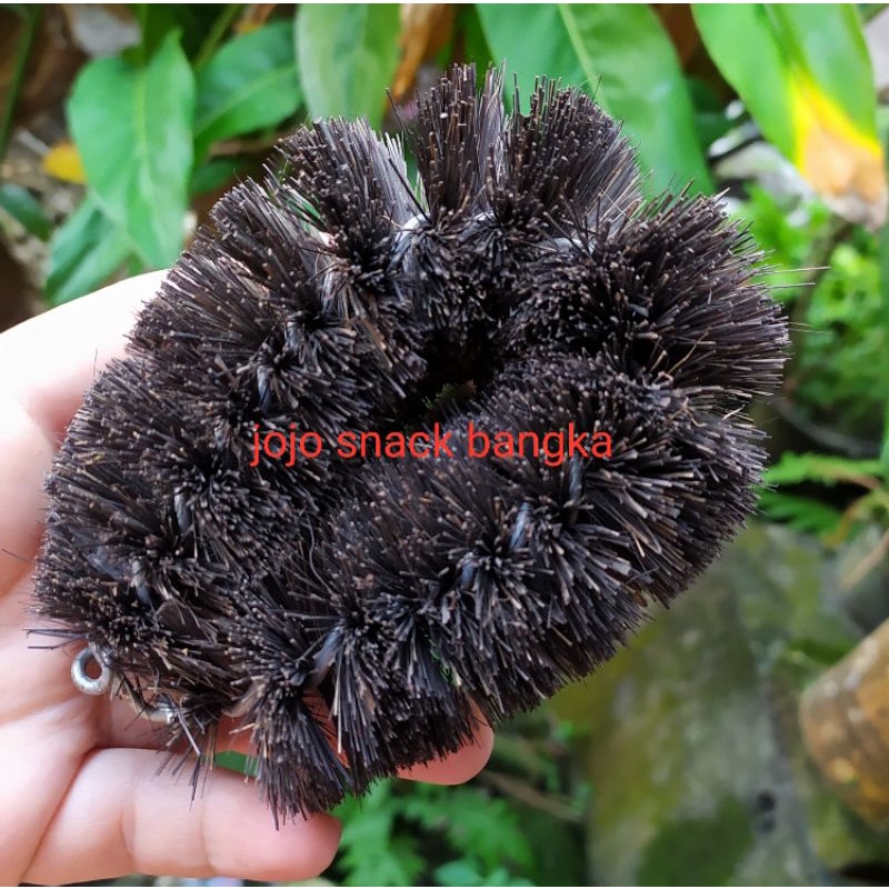 SIKAT HITAM KHAS BANGKA SIKAT KAMAR MANDI