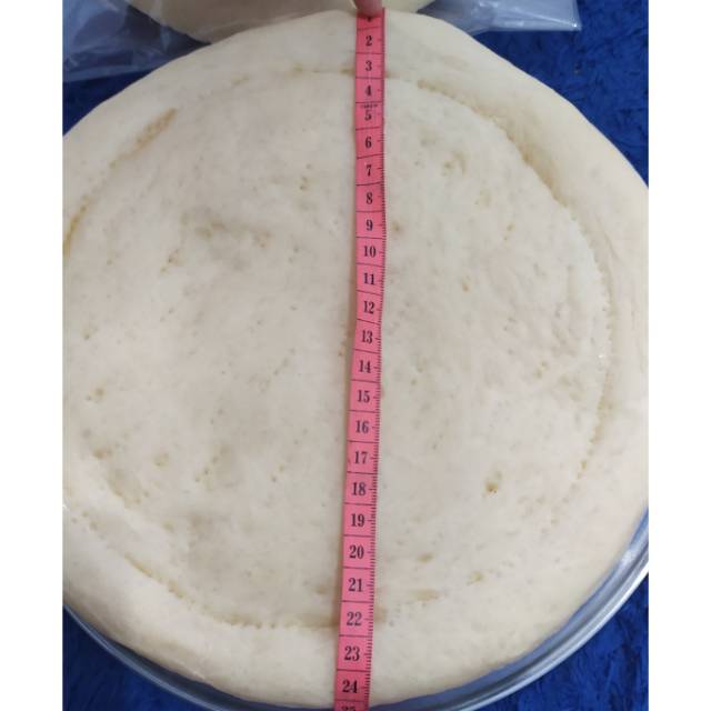 

pizza base 24 cm