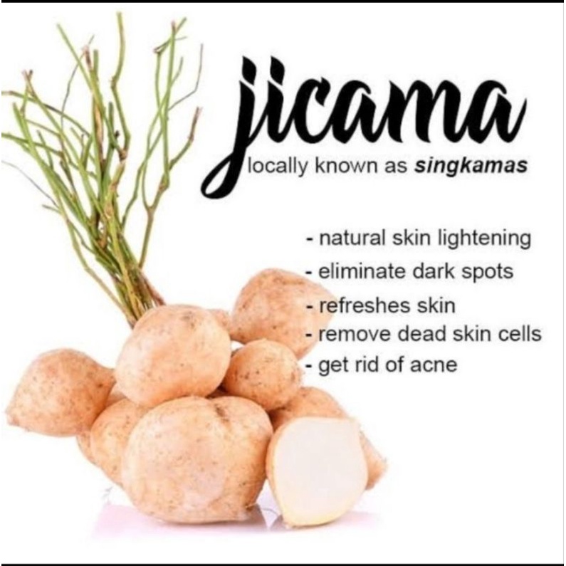 Jicama Root Extract Powder 25gr/Raw Material Cosmetic