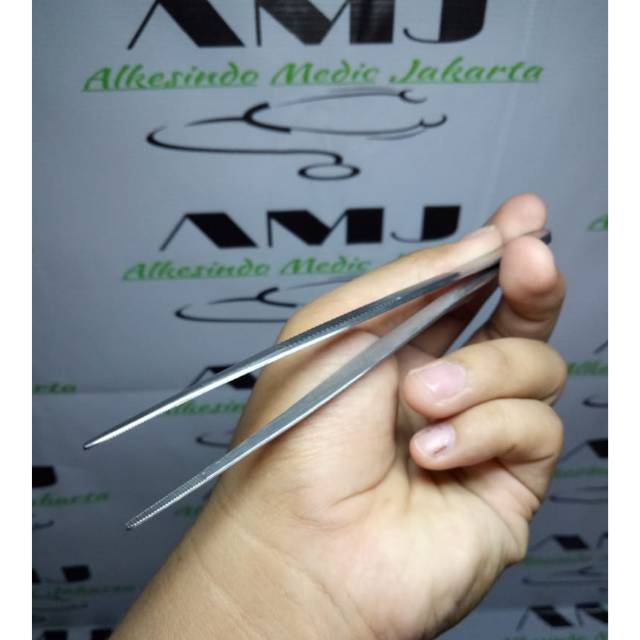 Pinset anatomi pinset anatomis pinset