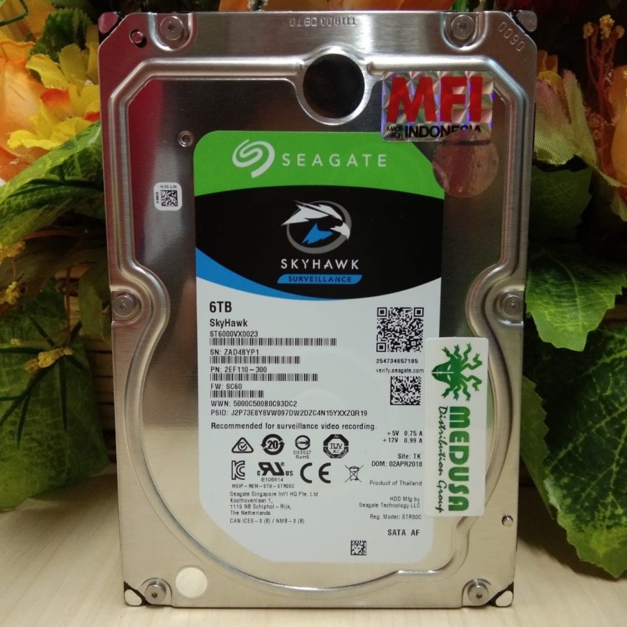 HDD 6 TB Seagate skyhawk MFI