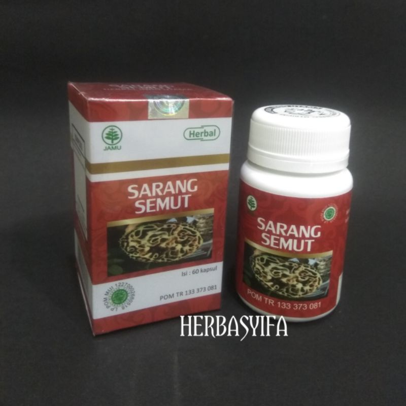 HIU Kapsul Sarang Semut Herbal Kanker Tumor dll