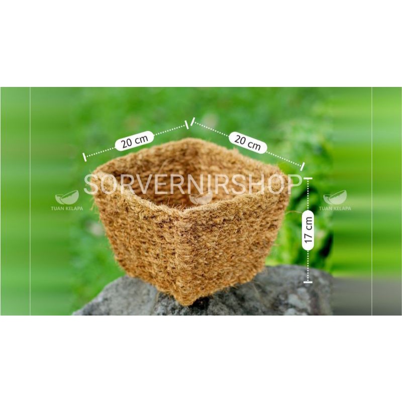 pot serabut kelapa kotak tirus besar