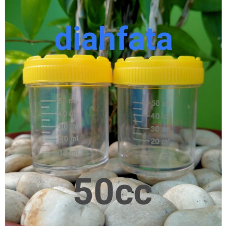 10 Pcs Pot SaLep Tutup Kuning 50cc