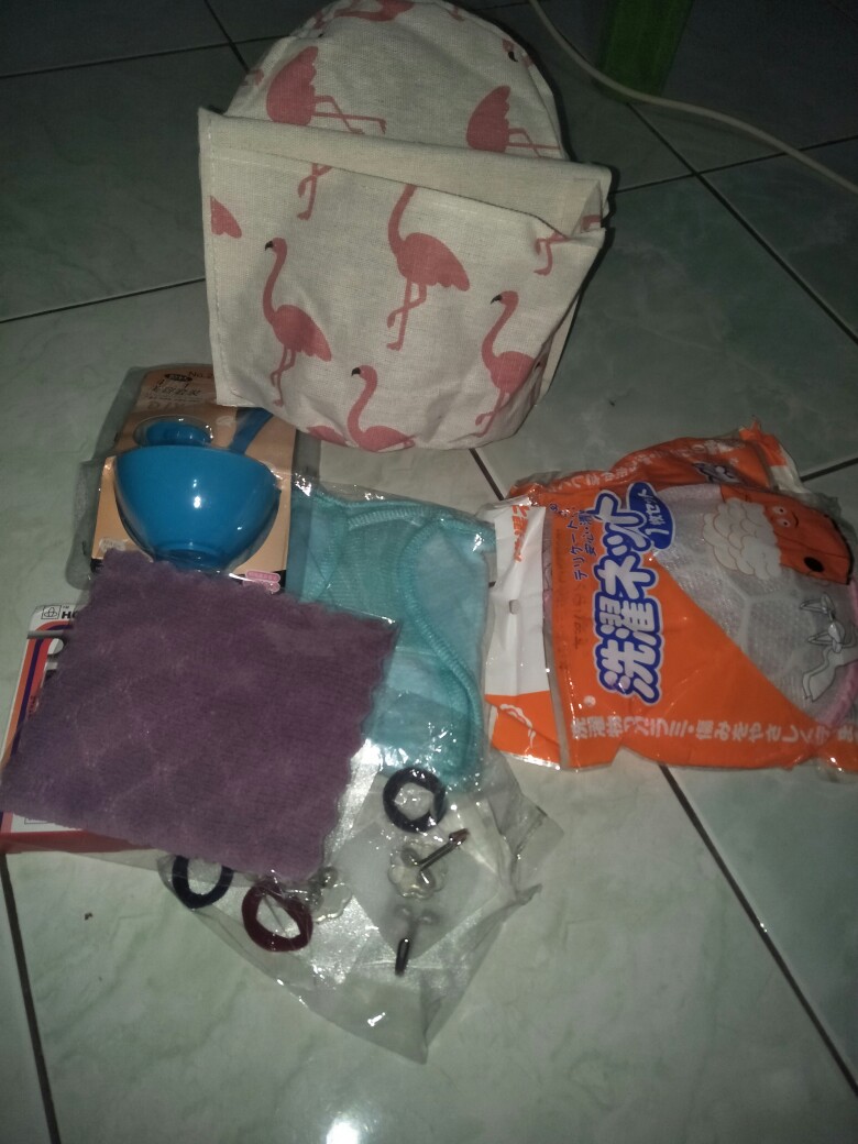 Bra Laundry Bag  Bh Underwear