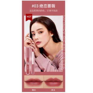 Lameila Lip Glaze Matte Lipstick Anti Air Lipstik Velvet Lip Gloss CJR 1041