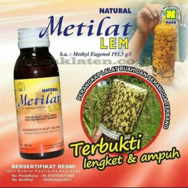 Perangkap lalat buah