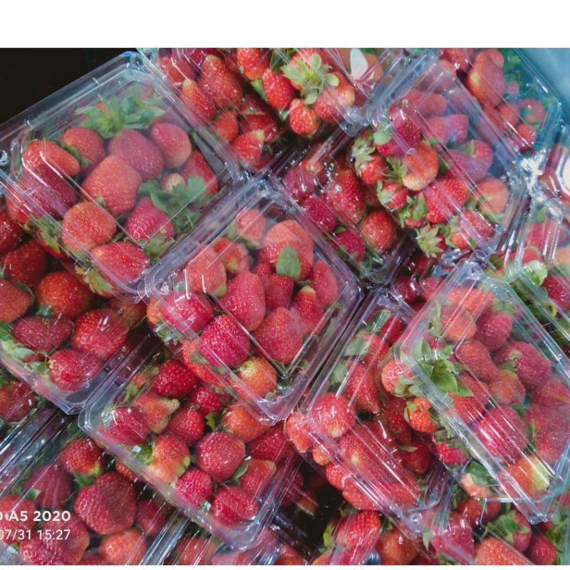 

Strawberry Fresh Buah Segar Bandung